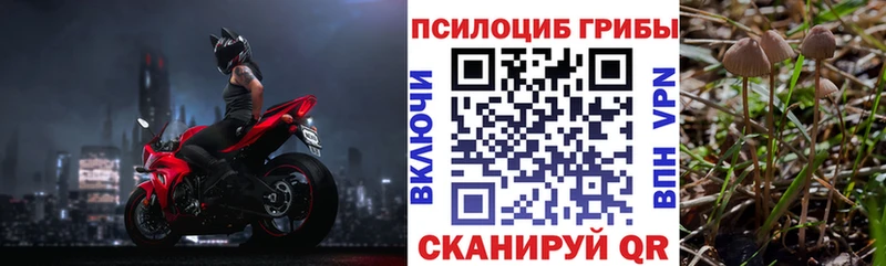 Псилоцибиновые грибы Cubensis  Заполярный 