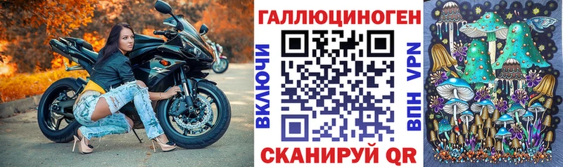 Галлюциногенные грибы мицелий Заполярный